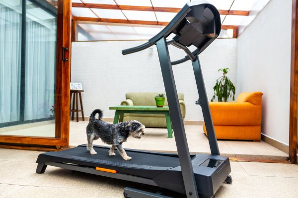 Treadmill Installation in Longmont