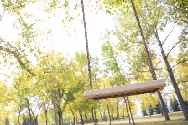Tree Swing Installation in Longmont
