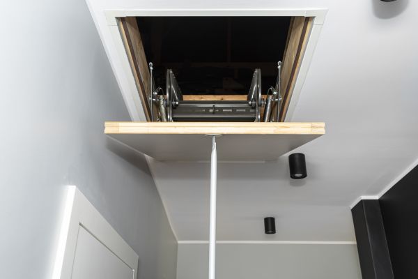 Attic Door Repair in Longmont