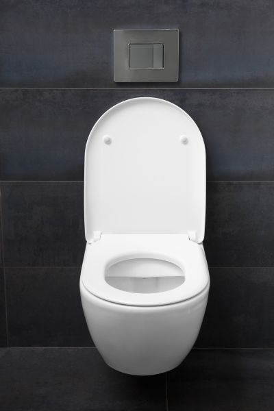 Toilet Lid Installation in Longmont