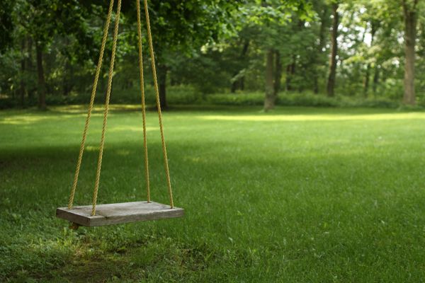 Rope Swing Installation in Longmont