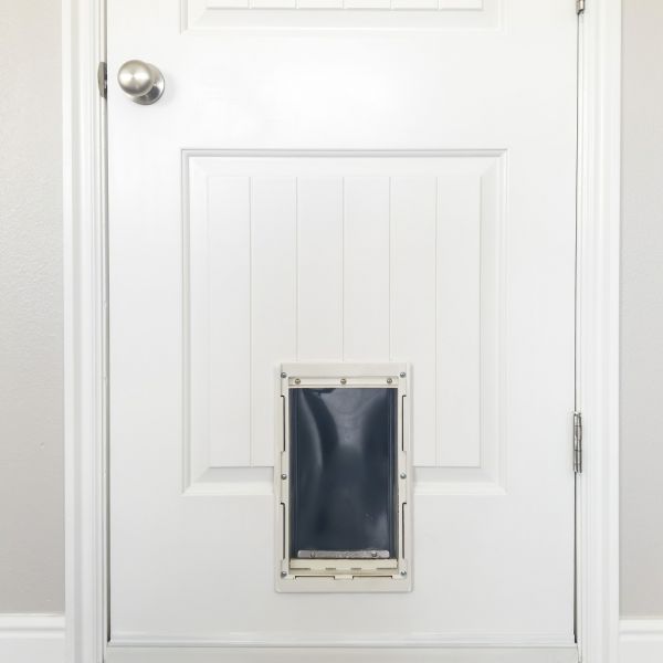 Pet Door Repair in Longmont