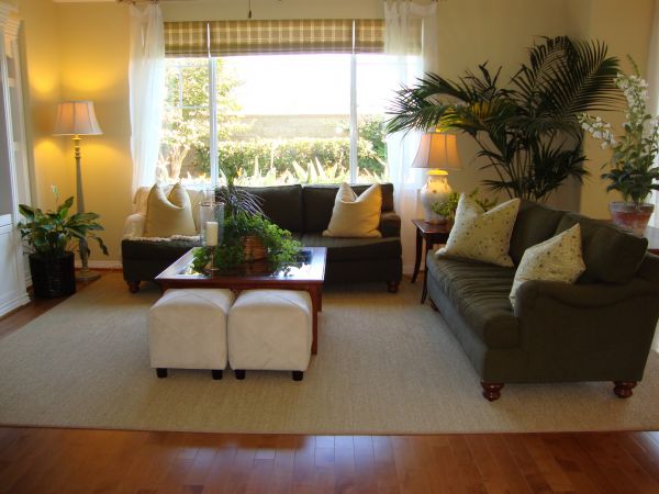 Valance Rod Installation in Longmont