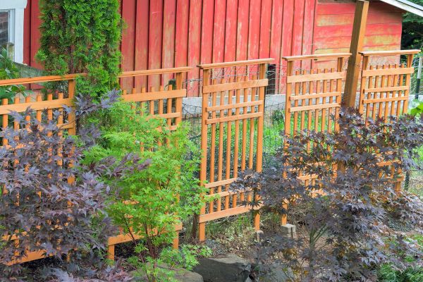 Wood Trellis Mounting in Longmont