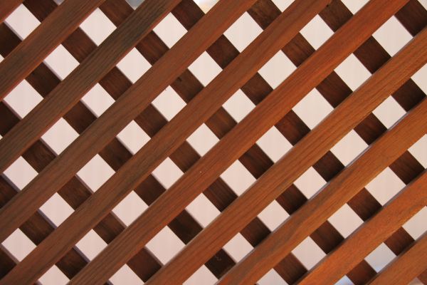 Wood Lattice Repair in Longmont