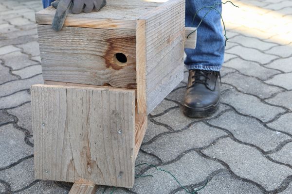 Birdhouse Mounting in Longmont