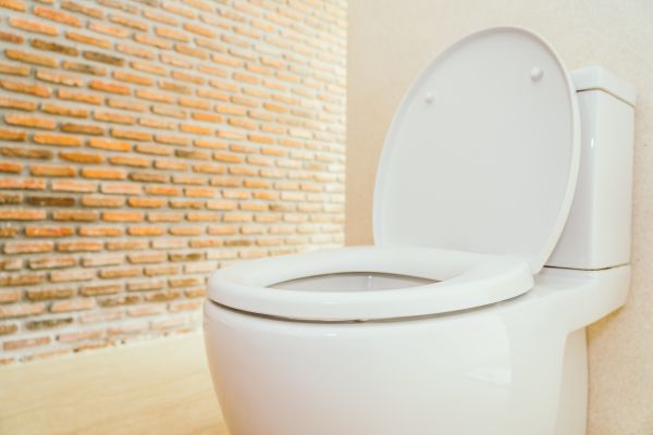 Toilet Seat Repair in Longmont