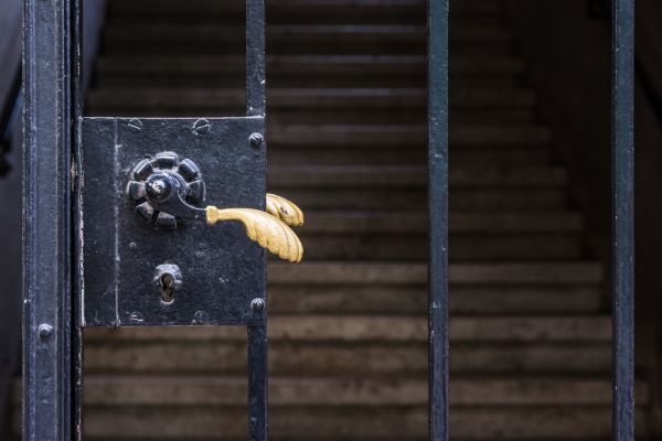 Gate Handle Replacement in Longmont
