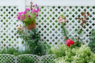 Decorative Lattice Mounting